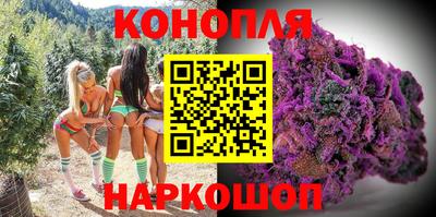 прущие крисы Гусев