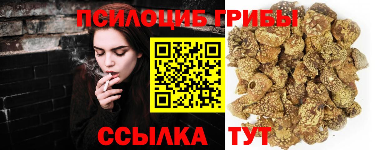 Галлюциногенные грибы GOLDEN TEACHER Усинск